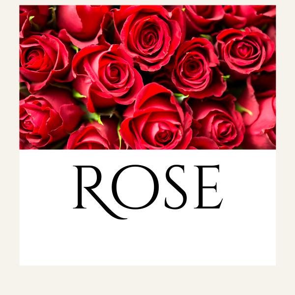 Alternative view of Candle Scent Add-On – Vanilla, Lavender, Jasmine, Rose, Sandalwood, Cinnamon